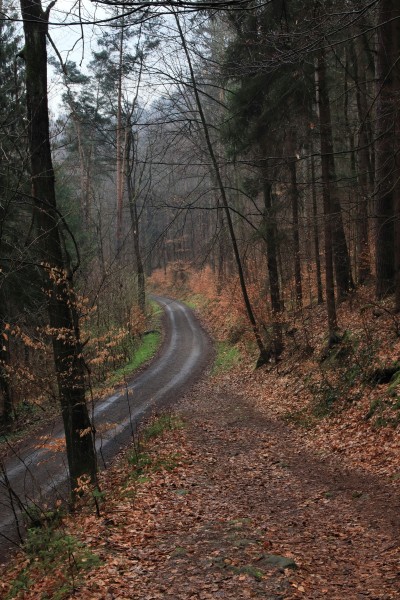 Kirchleitenstraße