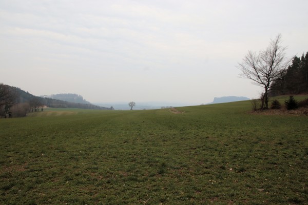 Königstein - Lilienstein