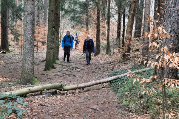 Oberer Kohlweg