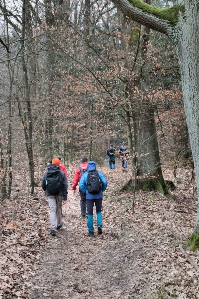 Oberer Kohlweg