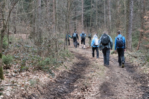 Oberer Kohlweg