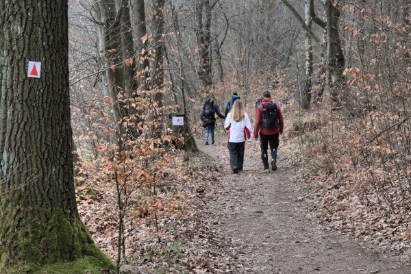 Quirlpromenade