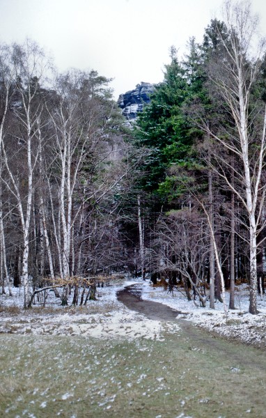 Weg Pfaffenstein