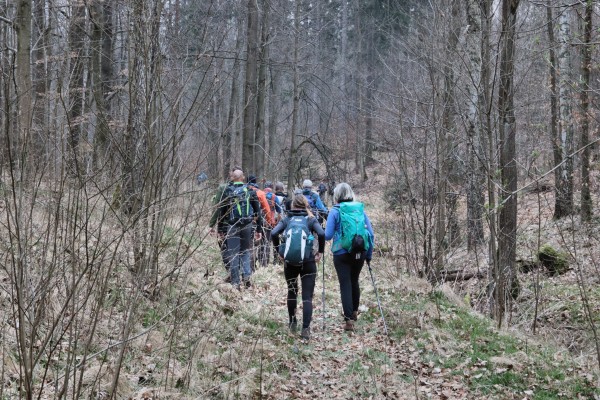 Waldweg