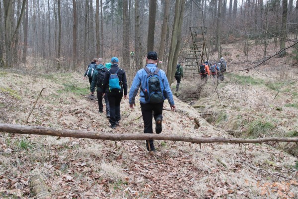 Waldweg