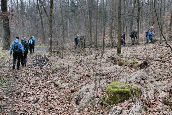 Waldweg
