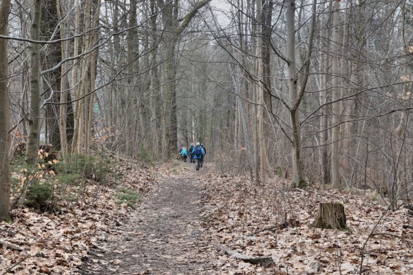 Waldweg