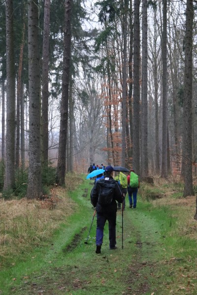 Waldweg