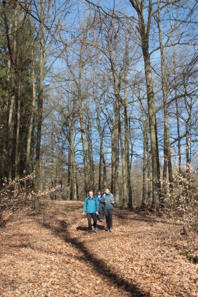 Waldweg