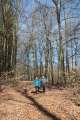 Waldweg
