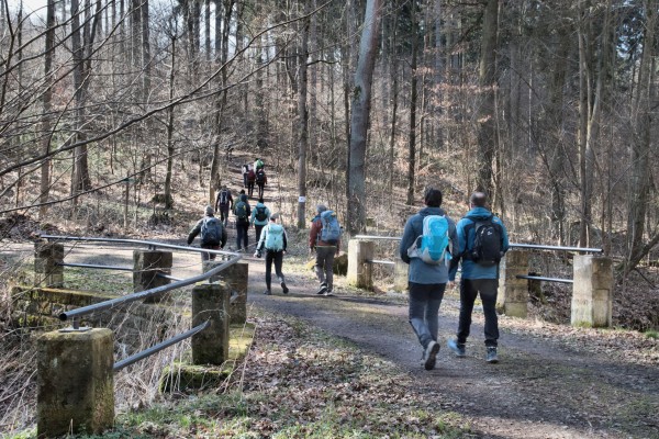 Waldweg