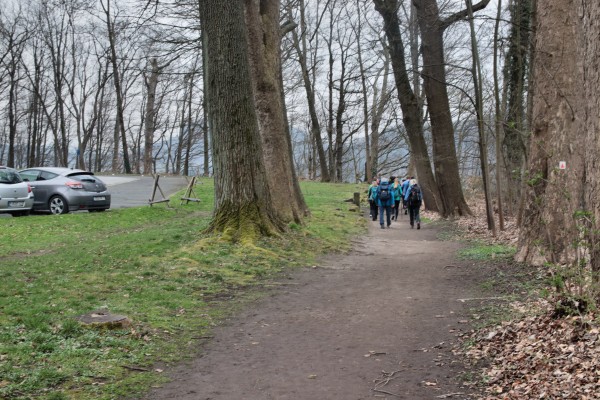 Palmschänkenweg