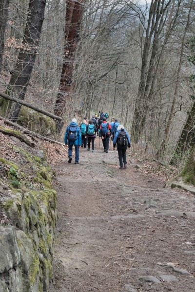 Palmschänkenweg