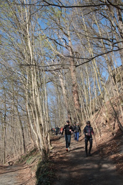 Weg Palmschänke