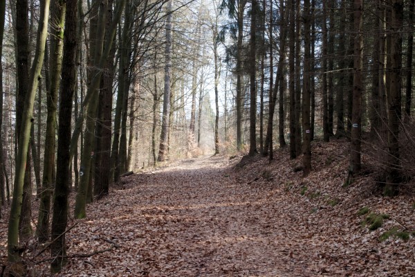 Weg Pladerberg