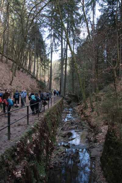 Amselgrund