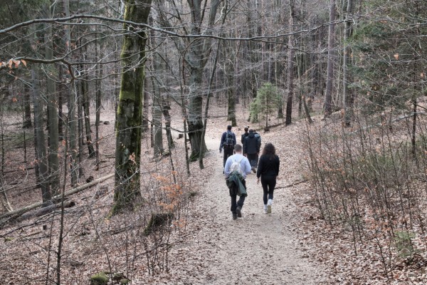 Schwarzbergweg