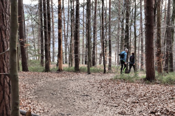Schwarzbergweg