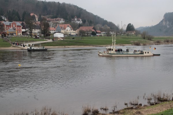 Elbfähre