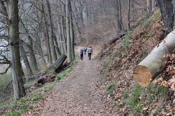 Kottesteig