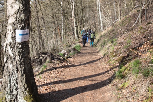 Kottesteig