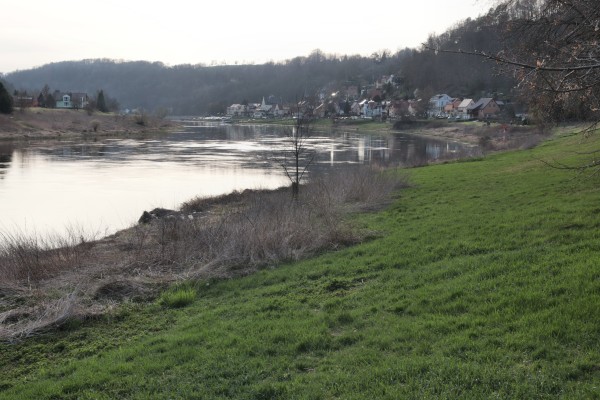 Hofewiese