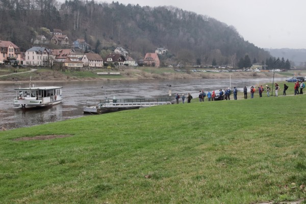 Fähranleger Wehlen