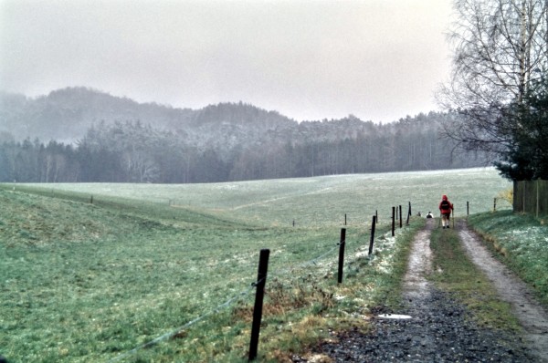 Damengrund