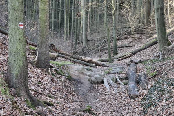 Damengrund