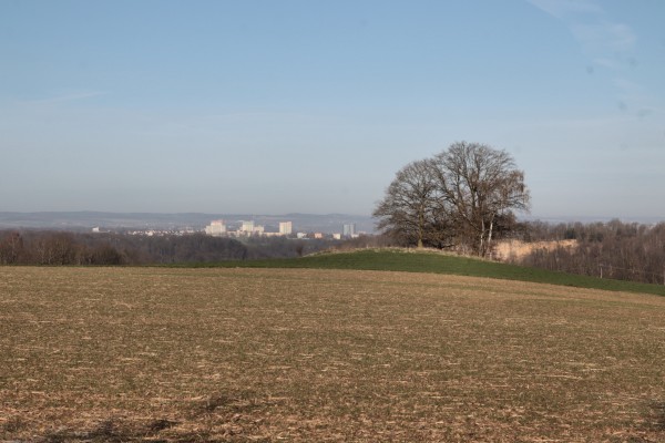 Pirnablick