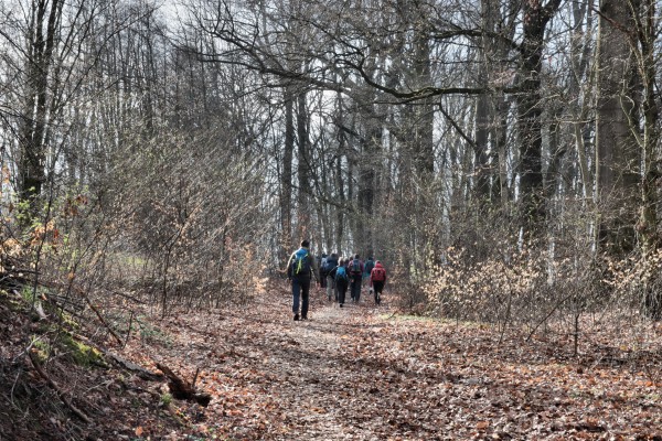 Feldweg