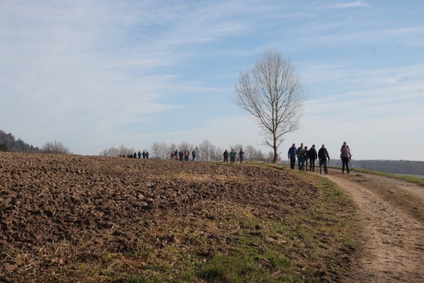Feldweg