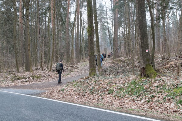 Hauptstraße - Schneise