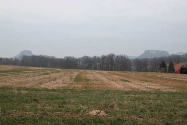 Lilienstein - Königstein
