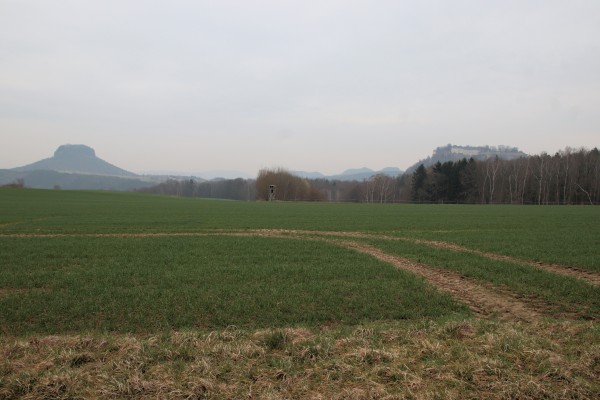 Lilienstein-Königstein