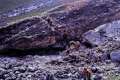 Mörchnerbach