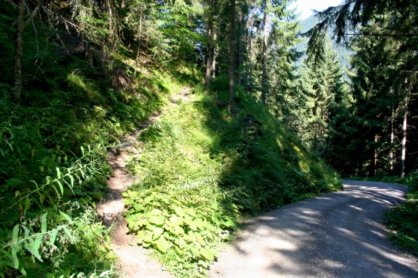 Hermann-Hecht-Weg
