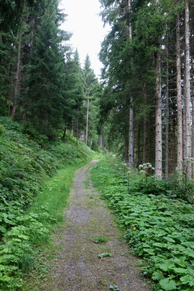 Wanderweg Zellberg