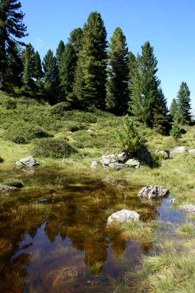Teich Rötenbachtal