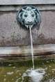 Wasserspeier
