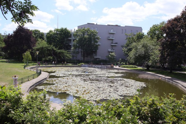 Goldfischteich