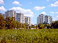 Seggeluchbecken