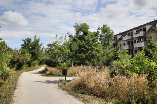 Grünzug