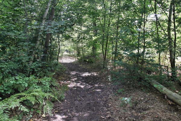 Reitweg