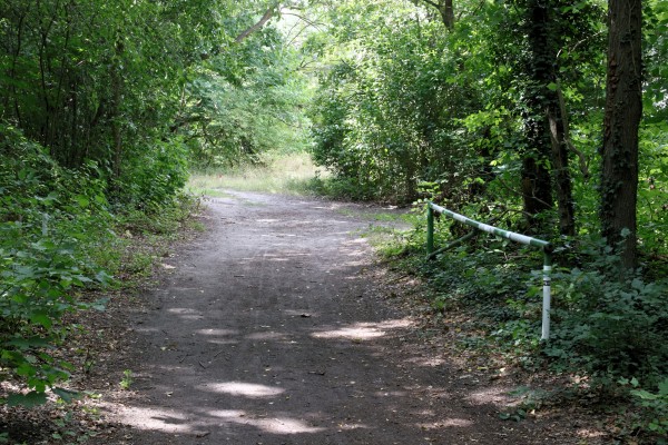 Waldweg