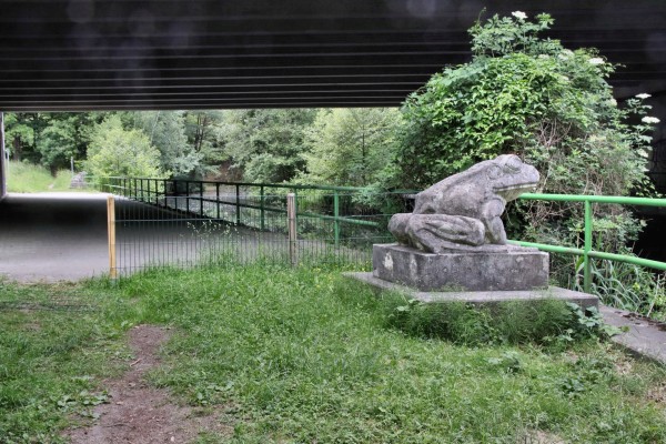 Froschbrücke