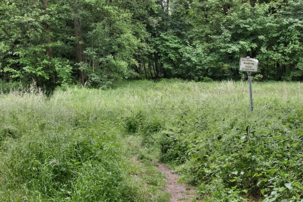 Uferweg