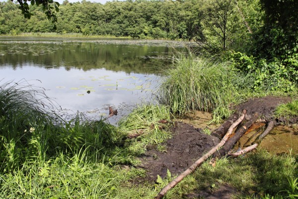 Uferweg