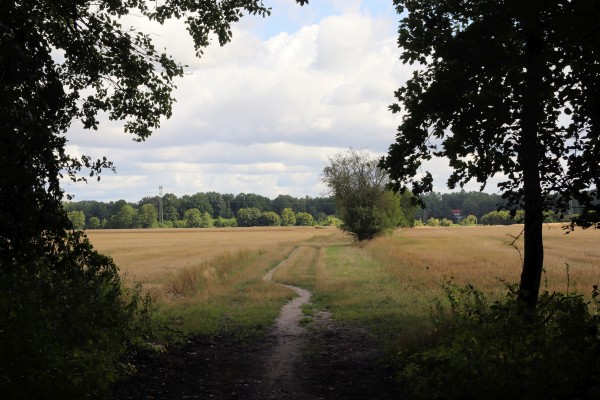 Teufelsbruchwiesen