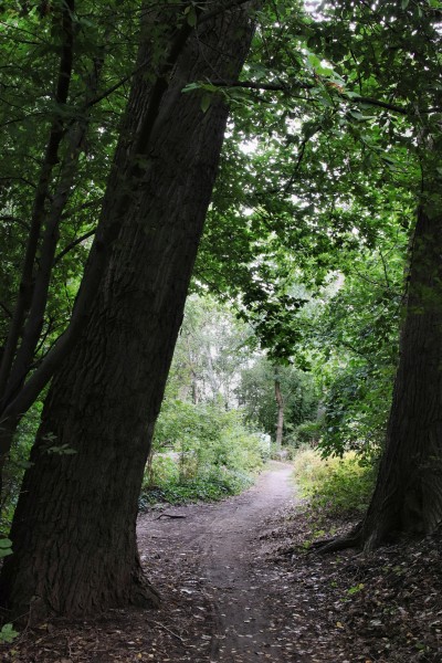 Uferpromenade
